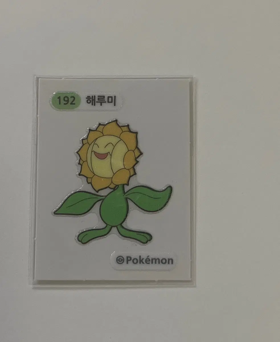 해루미 띠부씰
