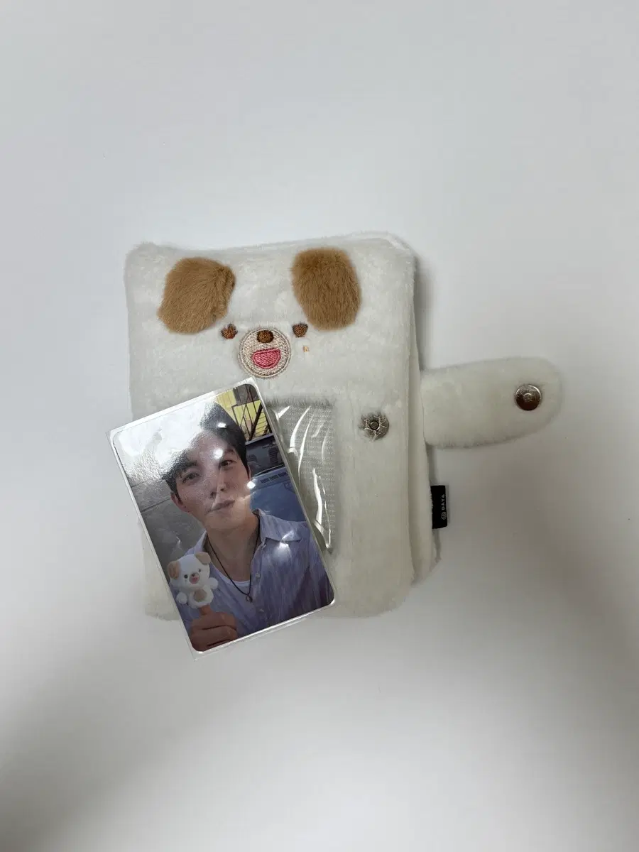 데이식스 콜렉트북 돈 원가이하 양도