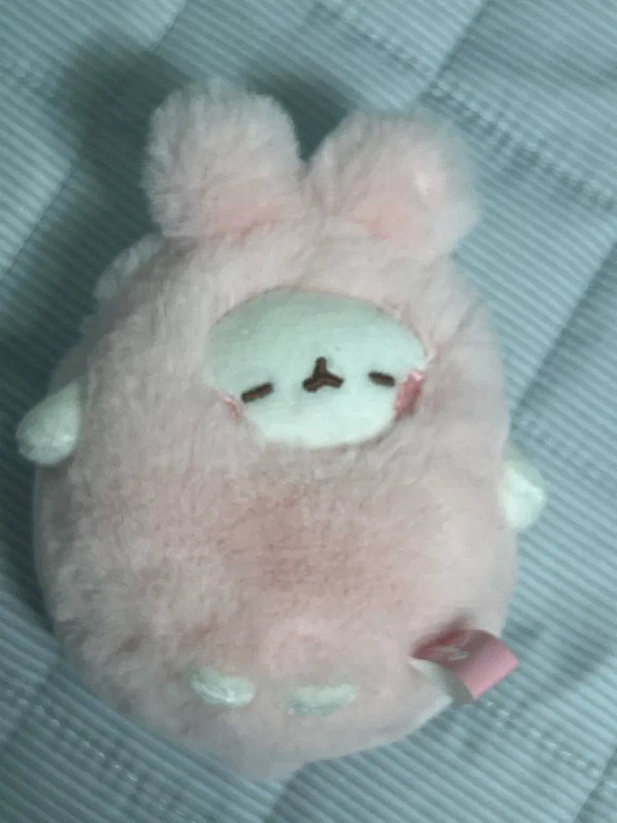몰랑이 키링 미니지갑