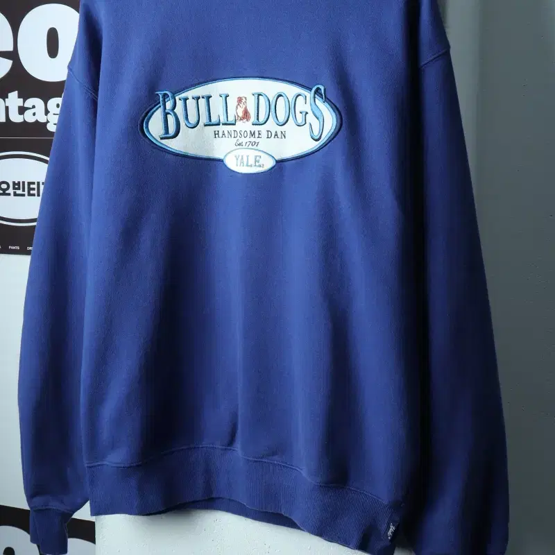 W(L-XL) 예일 맨투맨 티셔츠 빅로고 불독 블루 풀오버-H39623