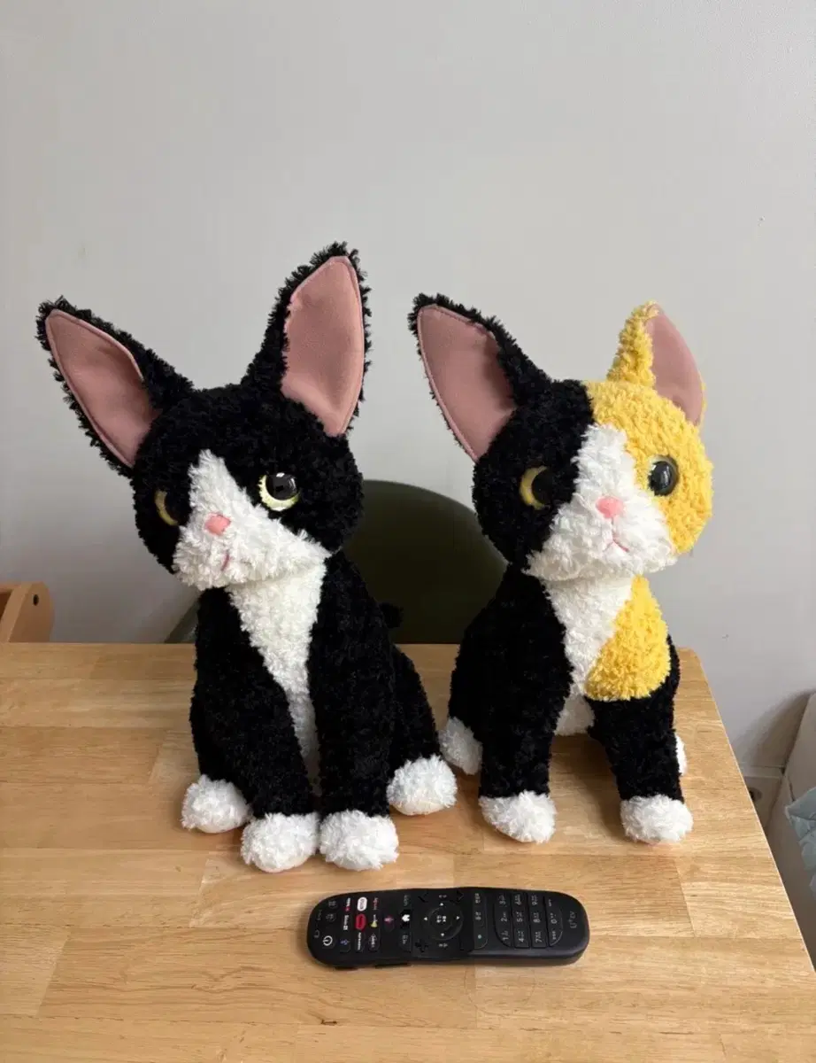 고양이 인형 세트