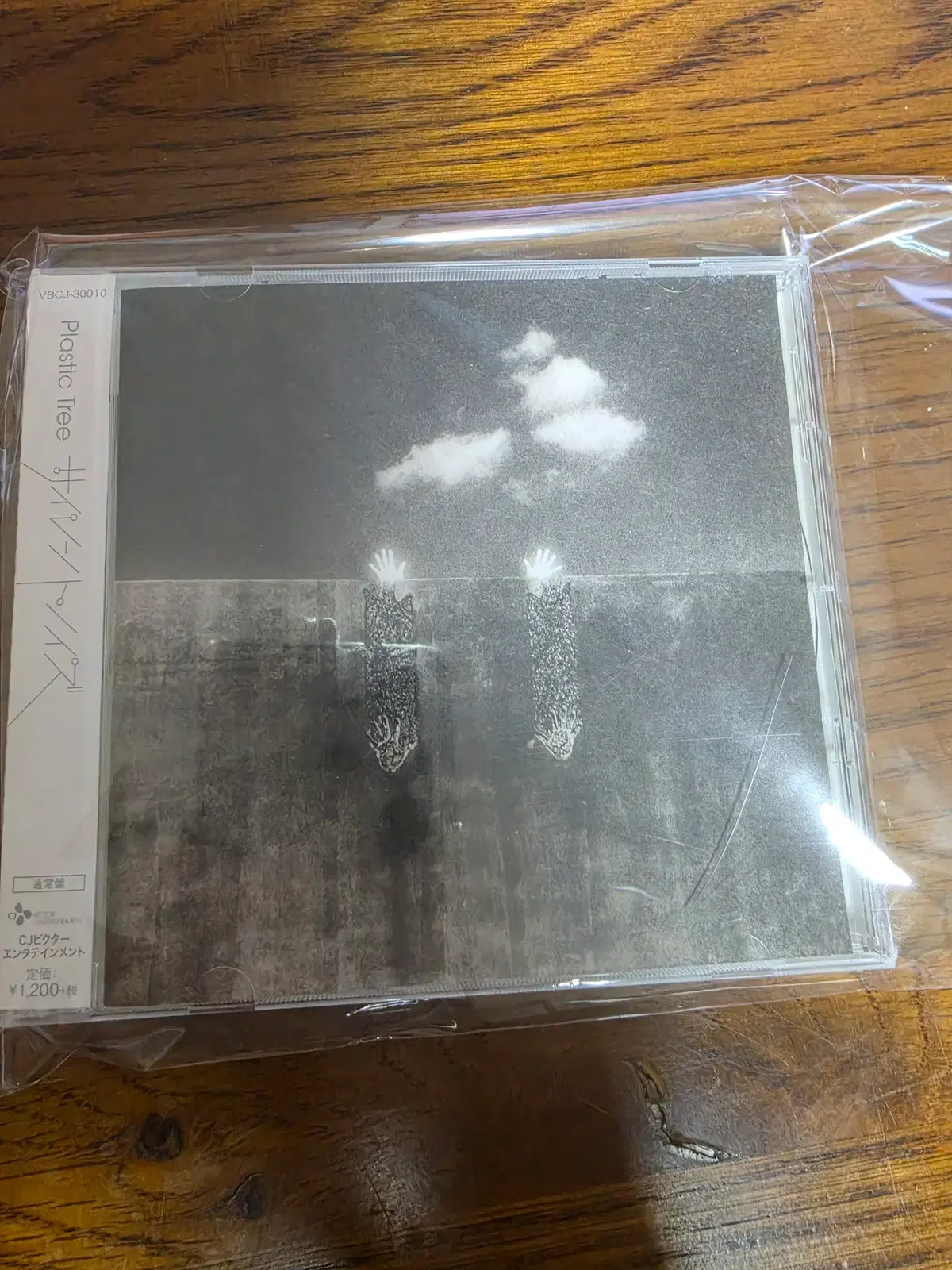플라스틱트리 사일런트 노이즈 plastic tree silent noise