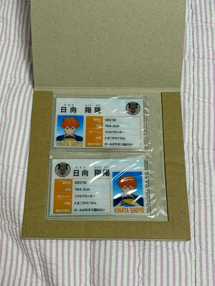 하이큐 마이프로프 케이스