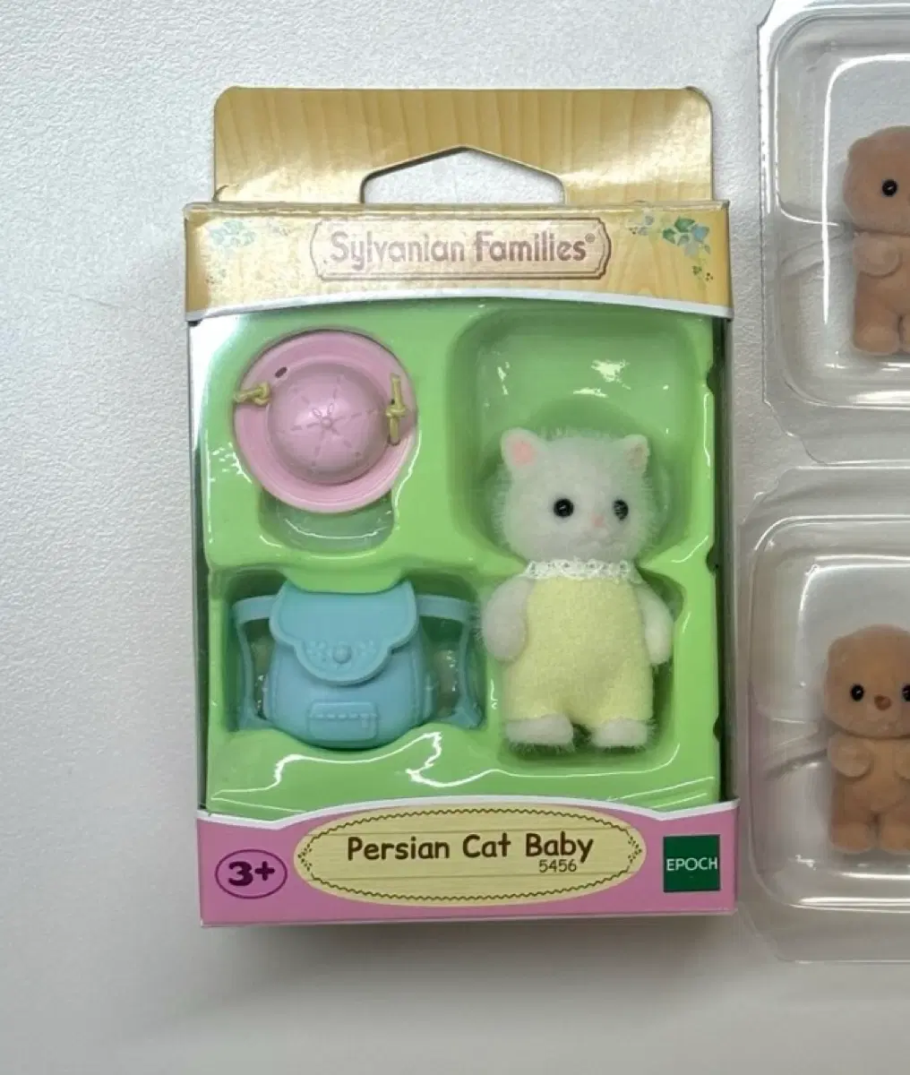 실바니안 페르시안 고양이 아기 직립