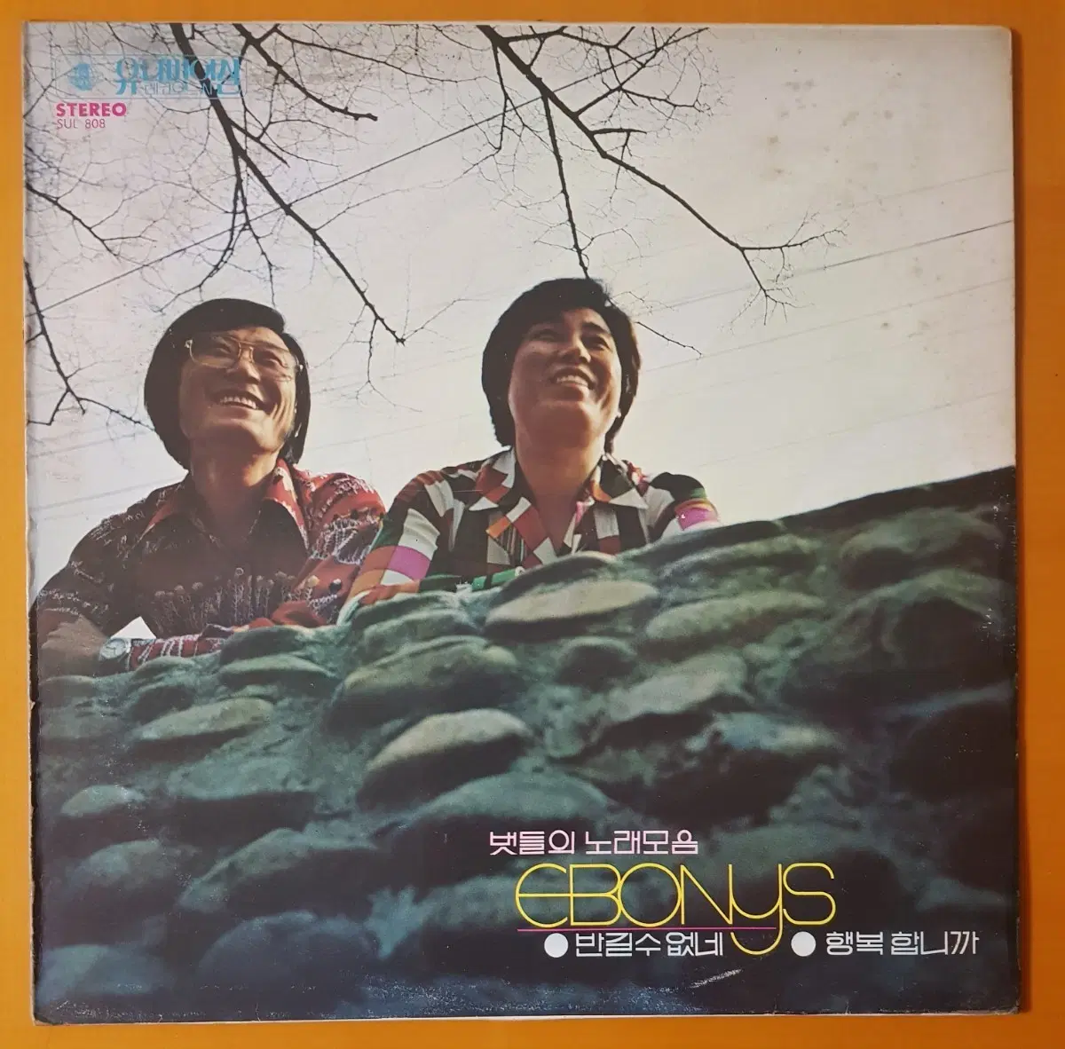 LP/에보니스 벗들의 노래모음-반길수 없네/정든배