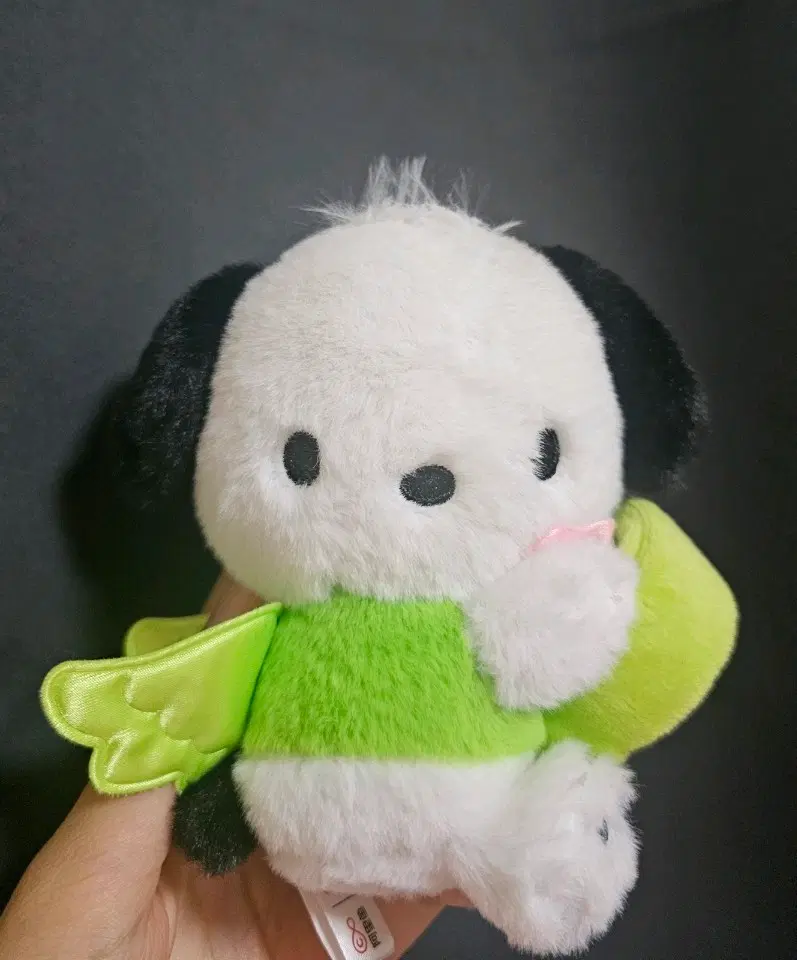 산리오 허그링 포차코 인형 초록옷 날개