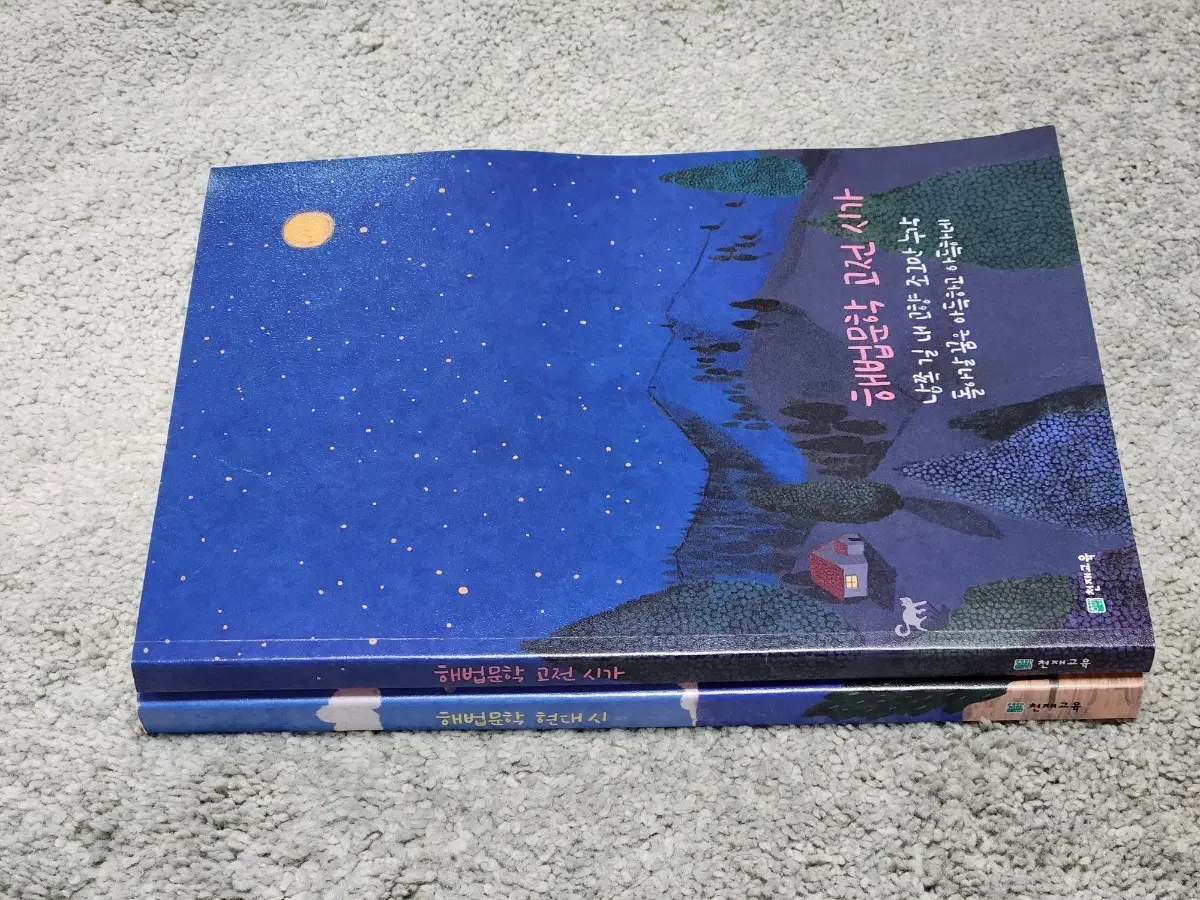 해법문학 현대시/고전시가 2권