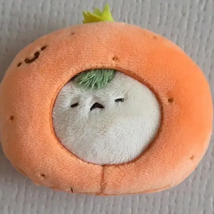 뽀시래기즈  슙멩이