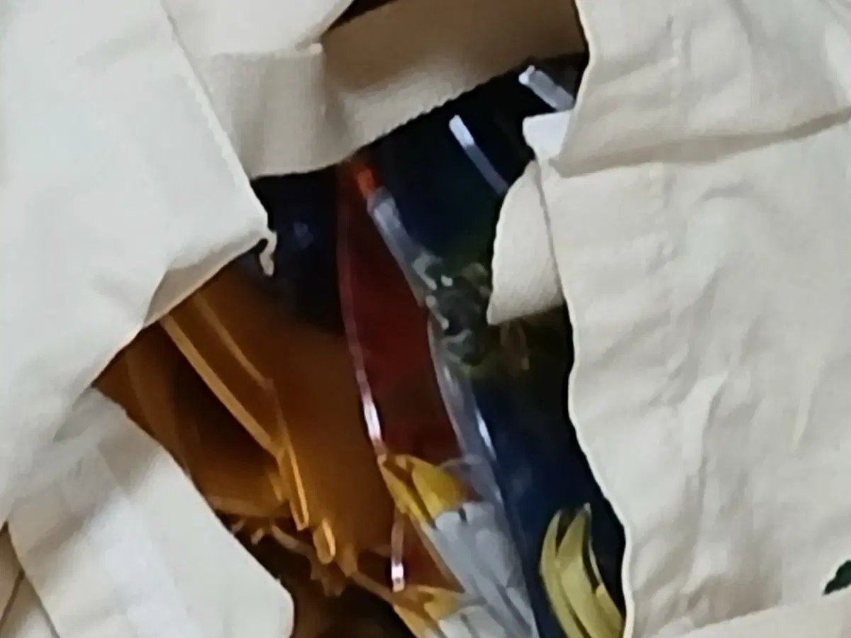 딱지