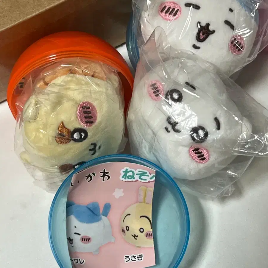 치이카와 시사 하치와레 인형 누이 가챠