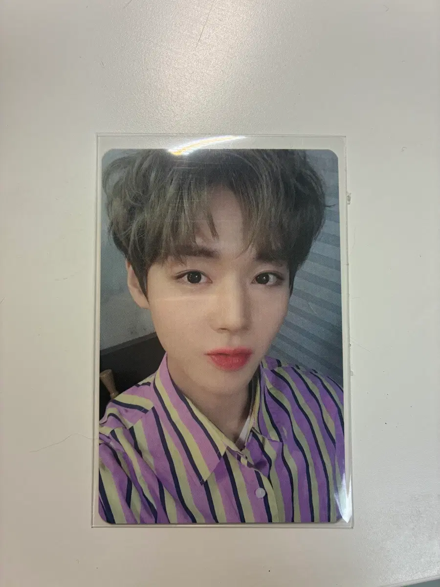 박지훈 메이 1기 포카