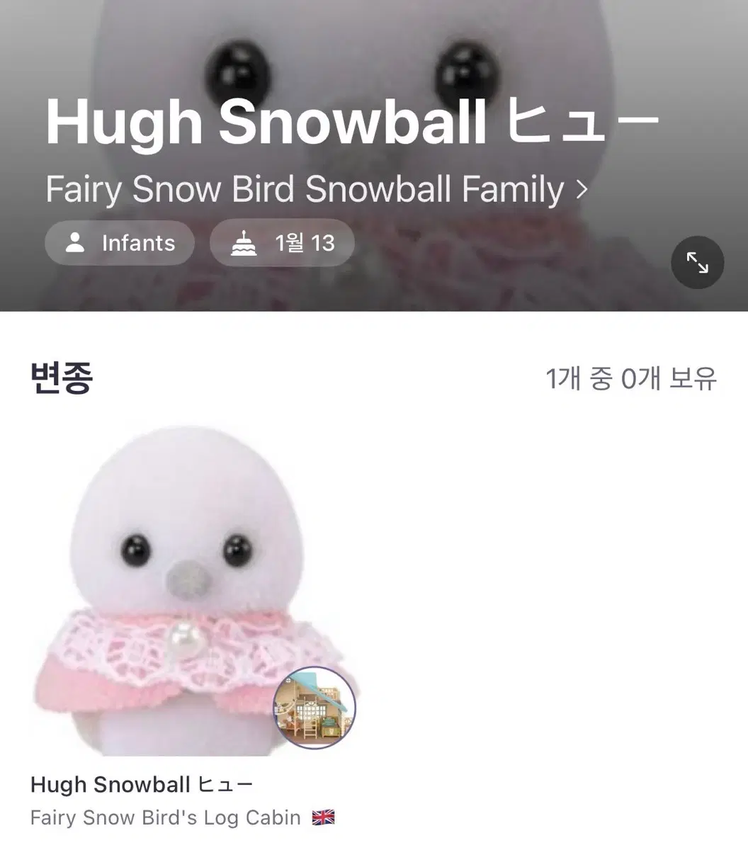 실바니안 뱁새 구합니다
