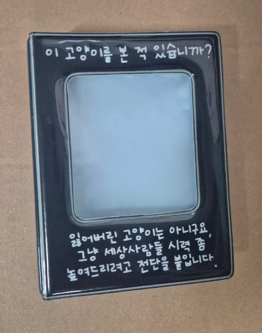 고양이 포토카드 바인더 포카 찌라시 포스터
