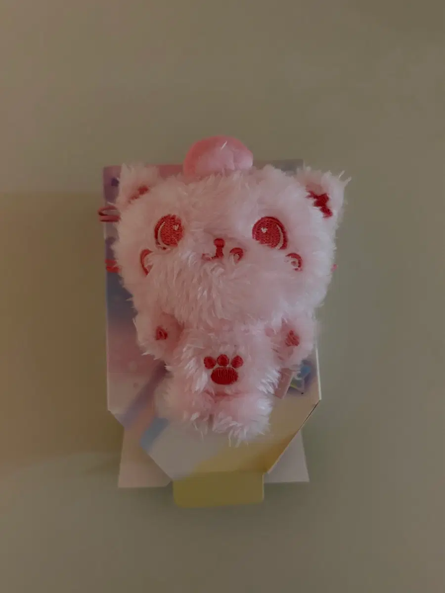 컬러위시돌 쿠리