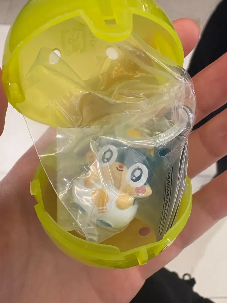 에그엔젤코코밍
