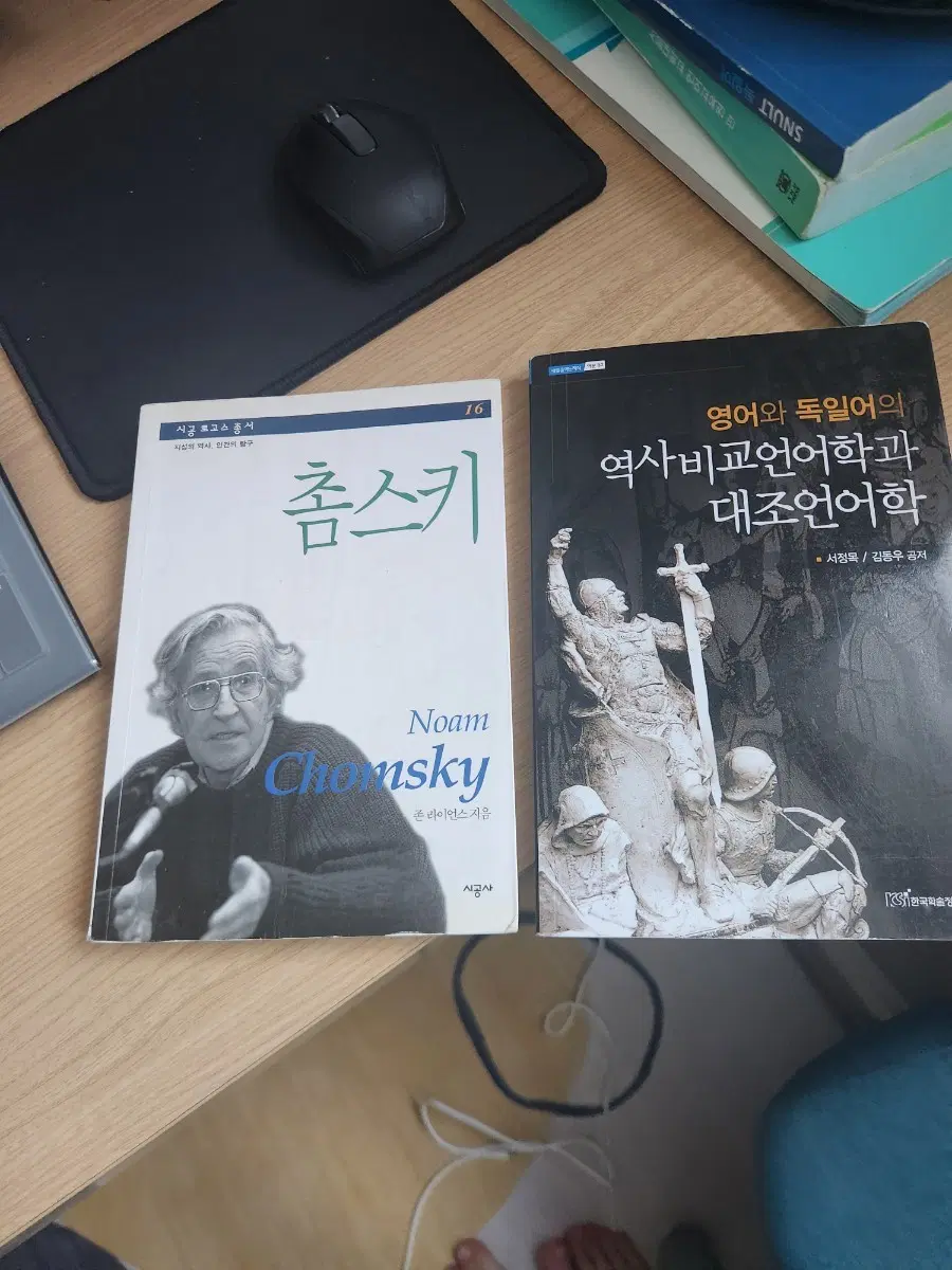 촘스키 책 및 역사비교언어학과 대조언어학 도서 2권