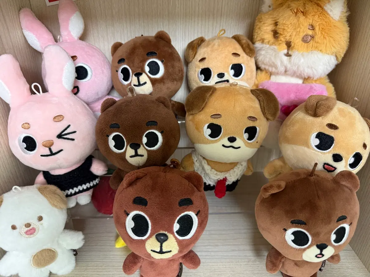 데이식스 데니멀즈 일괄