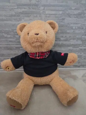 소리 나지 않음 미키하우스 봉제 인형 곰