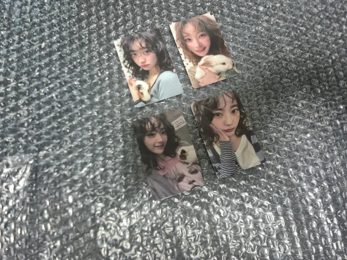 QWER) 포토카드