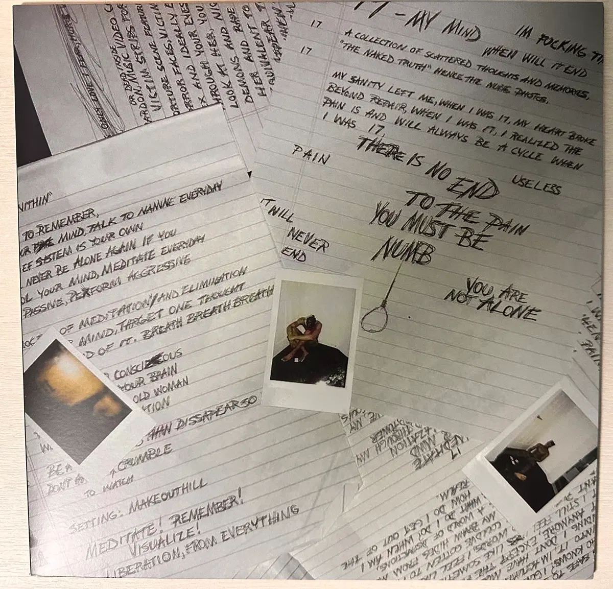 텐타시온 17 LP [한정판/컬러LP] XXXTentacion - 17 (Black White Vinyl) 판매합니다