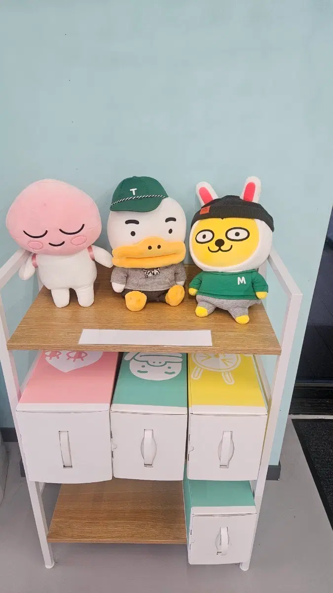 카카오프렌즈 인형 3종 세트