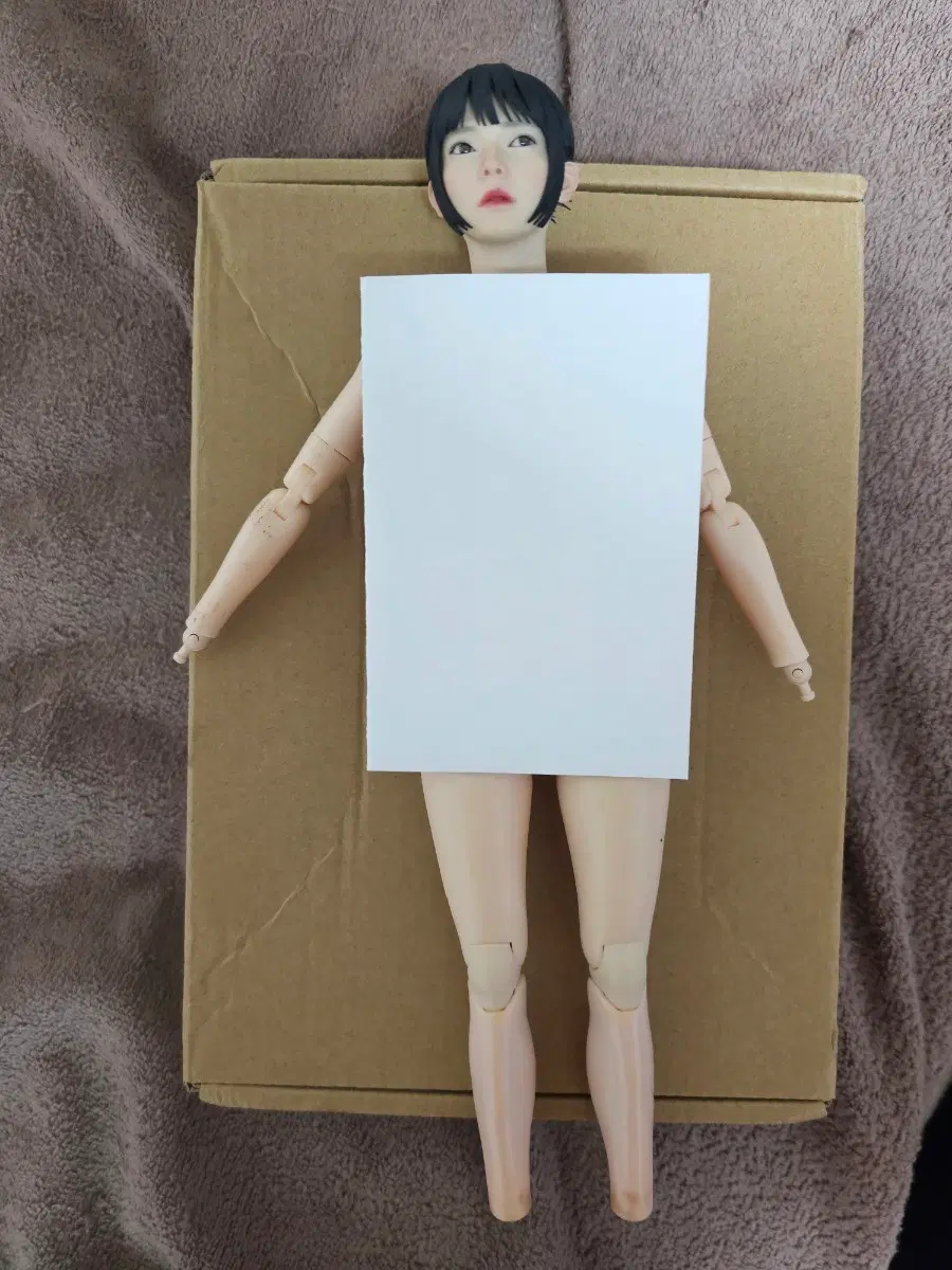 핫토이x 커스텀용 피겨.