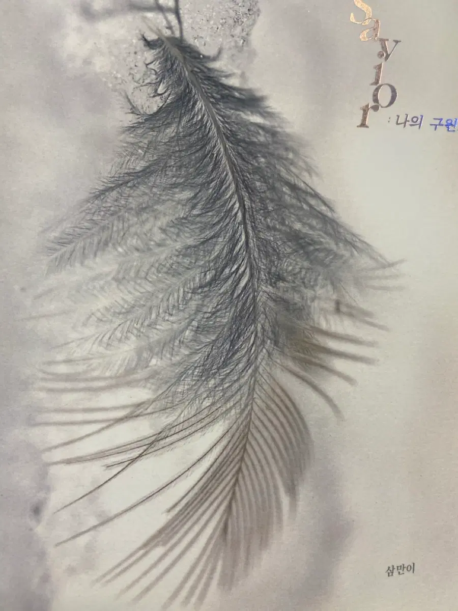 블랙배저 회지