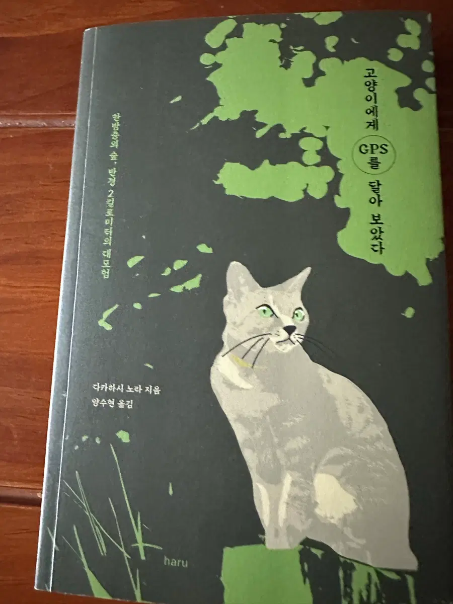 고양이에게 GPS를 달아보았다