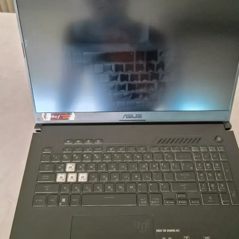ASUS TUF Gaming A17 노트북