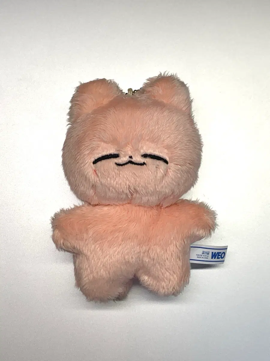 nct 엔시티 재현 잰냥이 인형