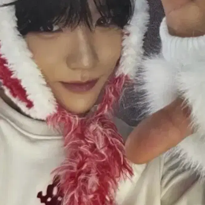 유우시 재희 포카 구해요