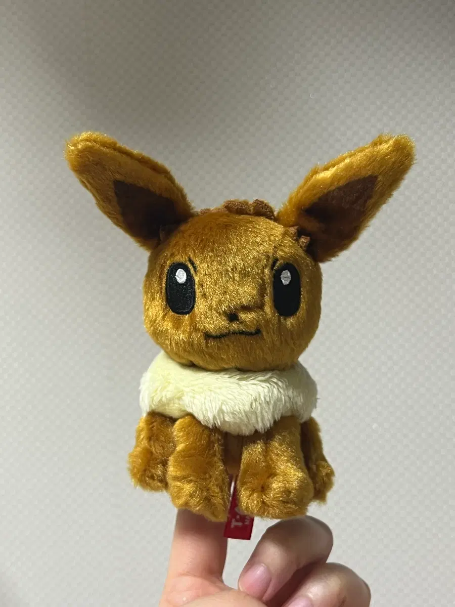 포켓몬스터 이브이 타카라토미 퍼펫 손가락 인형