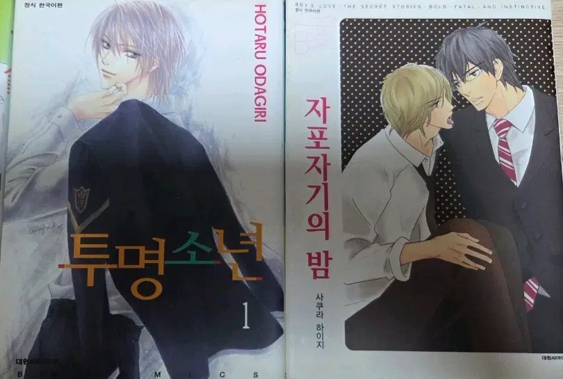 BL 만화책 투명소년 자포자기의밤