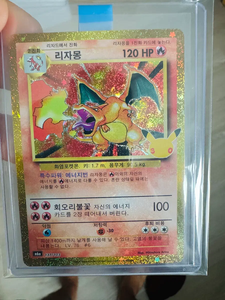 30주년 리자몽
