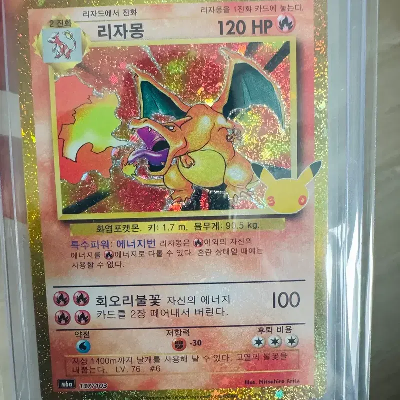 30주년 리자몽