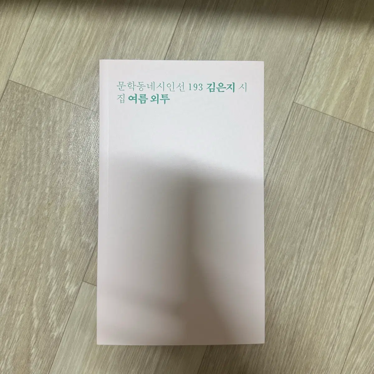 문학동네 시인선 김은지 시집 여름 외투