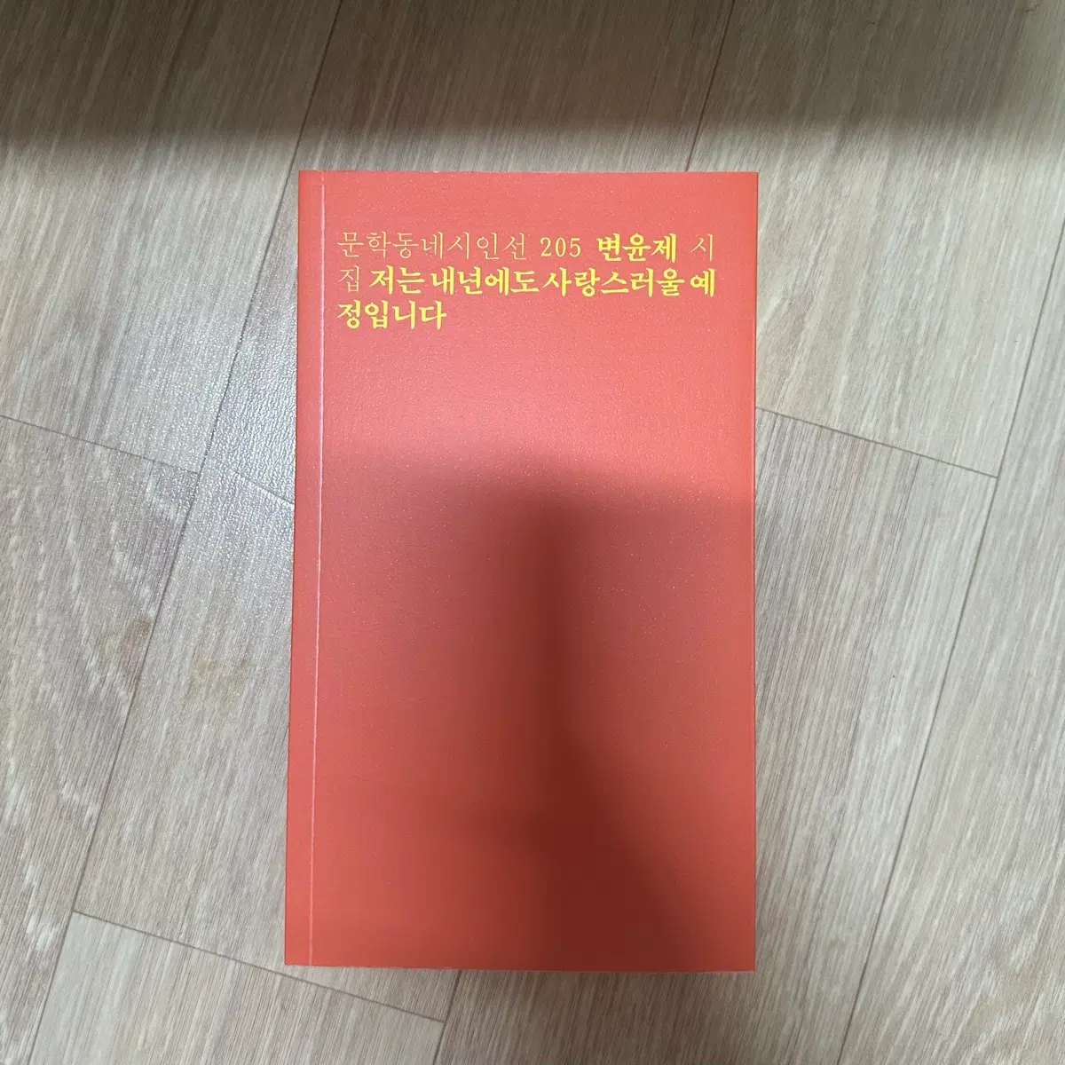 문학동네 변윤제 저는내년에도사랑스러울예정입니다
