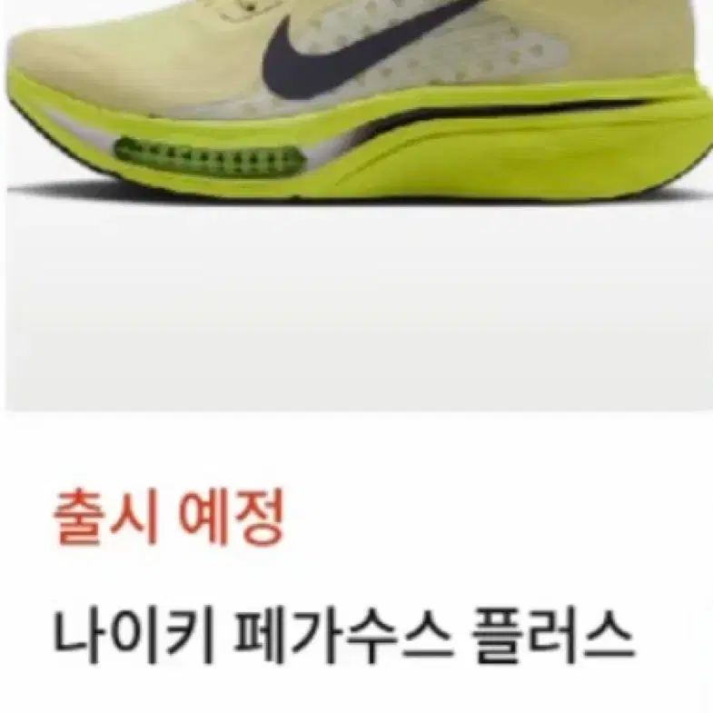 나이키 페가수스 플러스 2 새상품