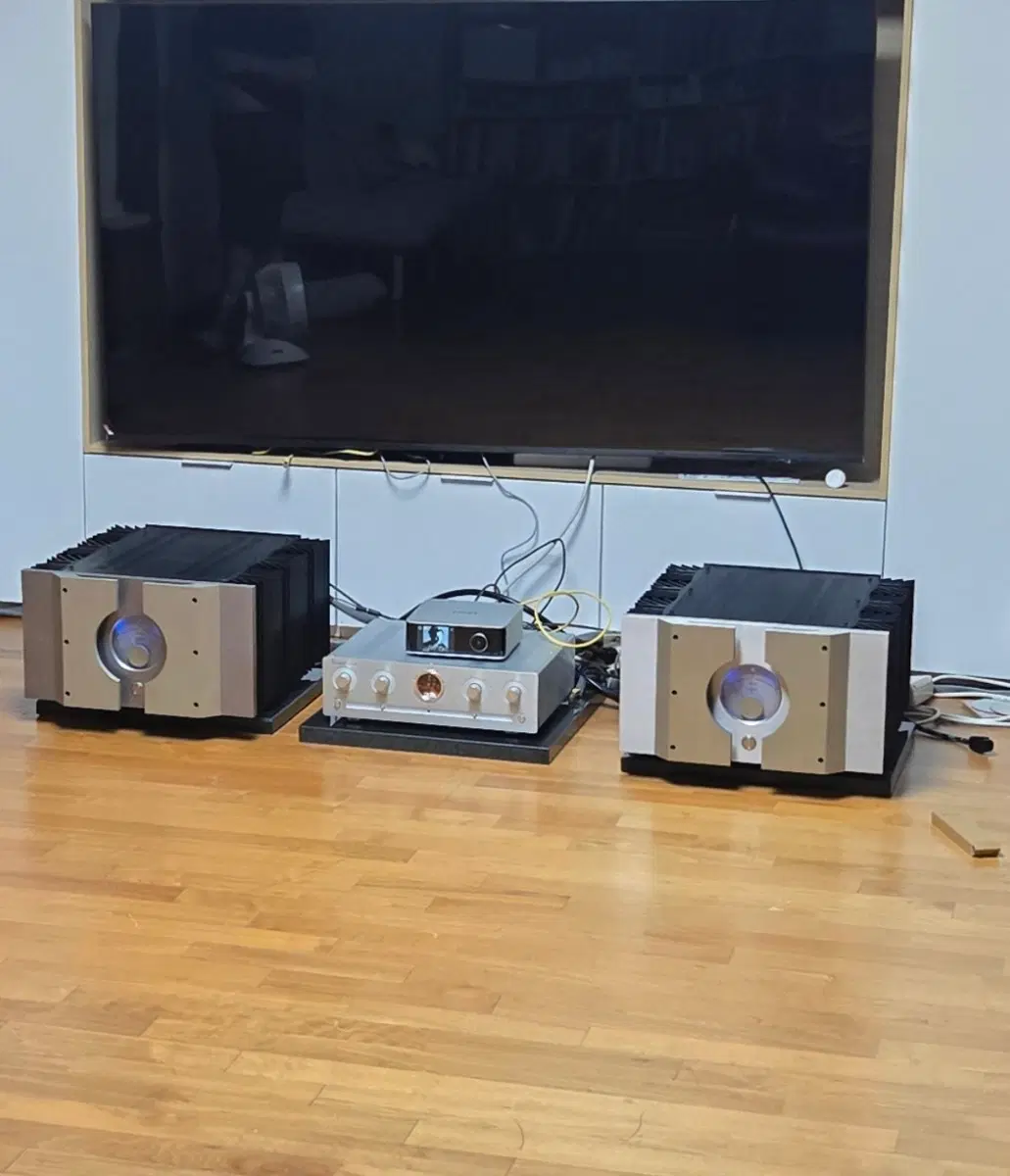 pass 패스 x600 파워앰프 모노모노 블럭