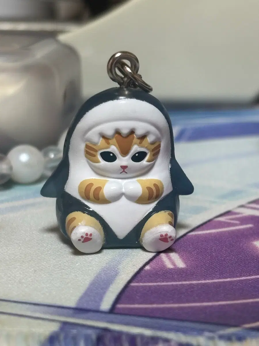 모프샌드 메지루시 상어냥