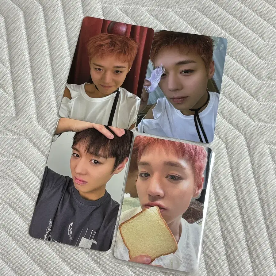 박지훈 포토카드 일괄판매
