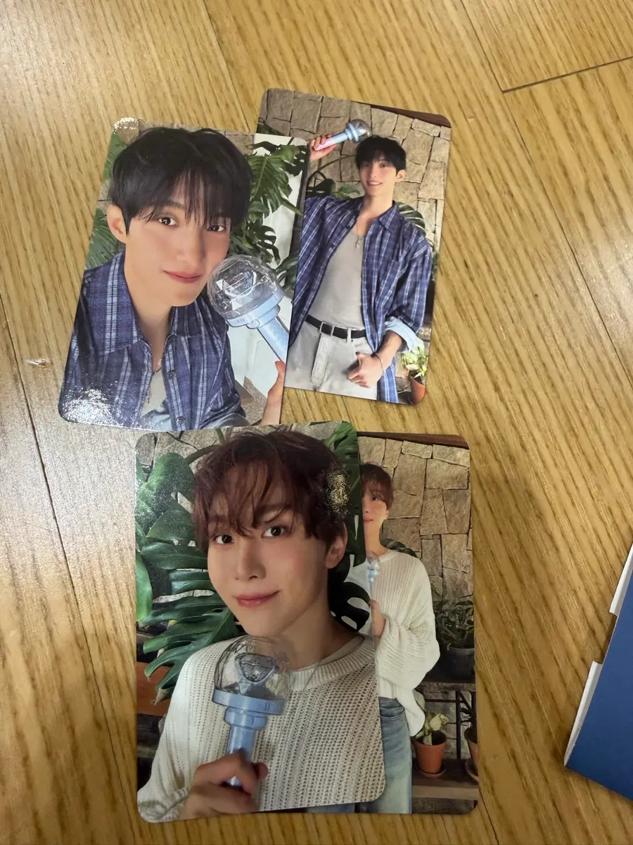 도겸승관 세레나데 캐럿존