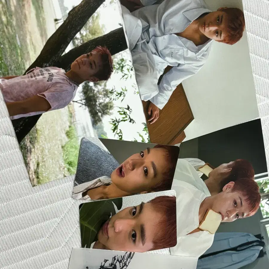 박지훈 공포 일괄판매 리플렉트 인화사진+포토카드