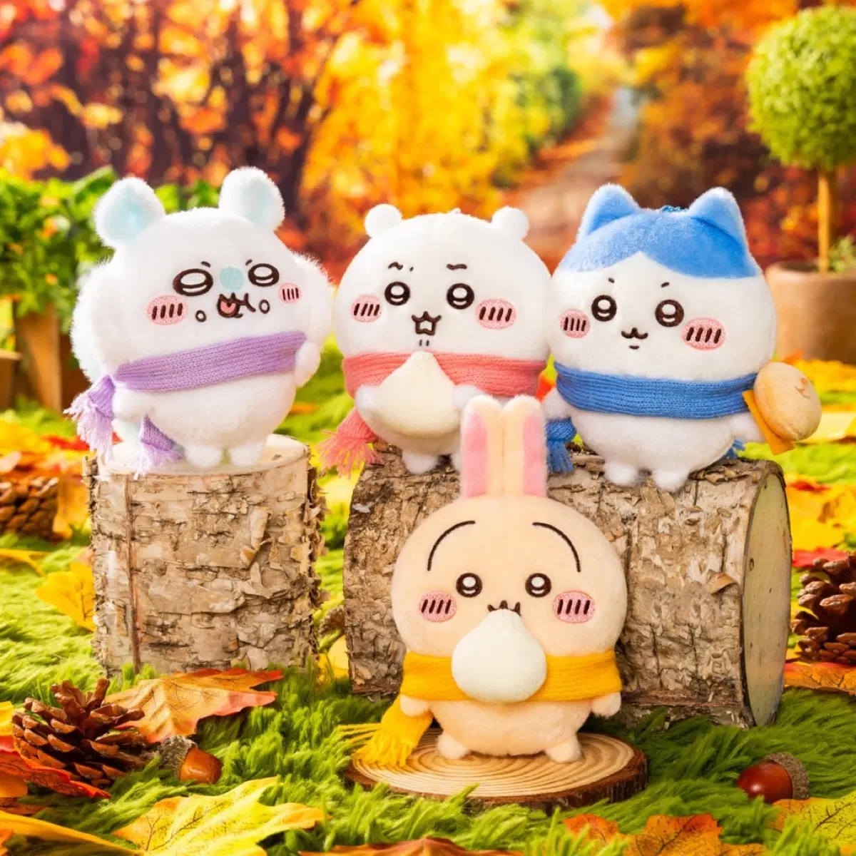 치이카와 마스코트 공구 구함