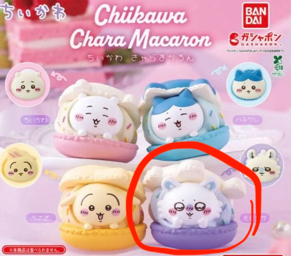 먼작귀 모몽가 마카롱 가챠