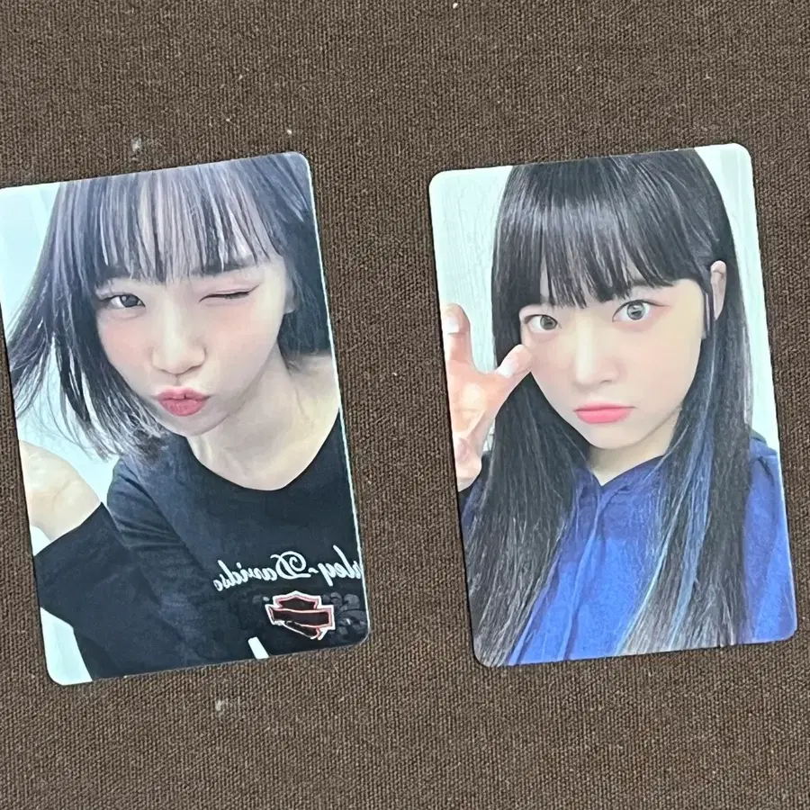 르세라핌 김채원 홍은채 멤버십 포카 포토카드
