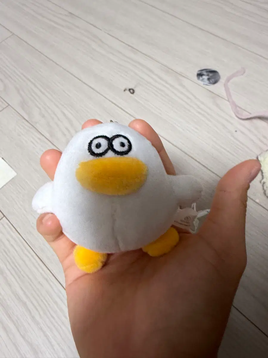 흰색 병아리 인형