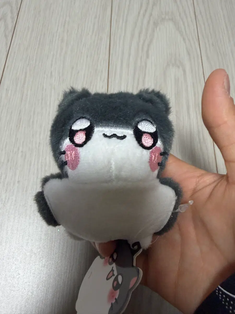다람쥐 인형