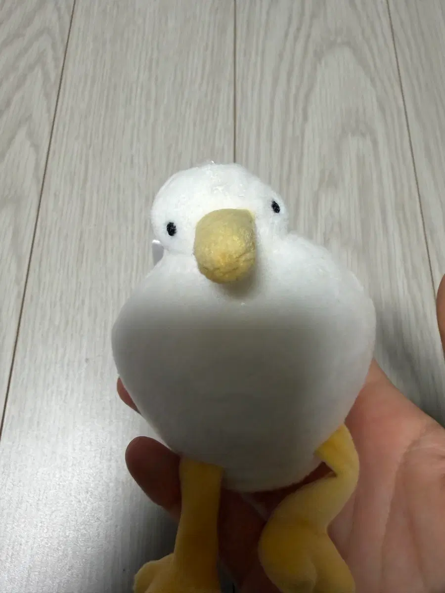 키위새 인형