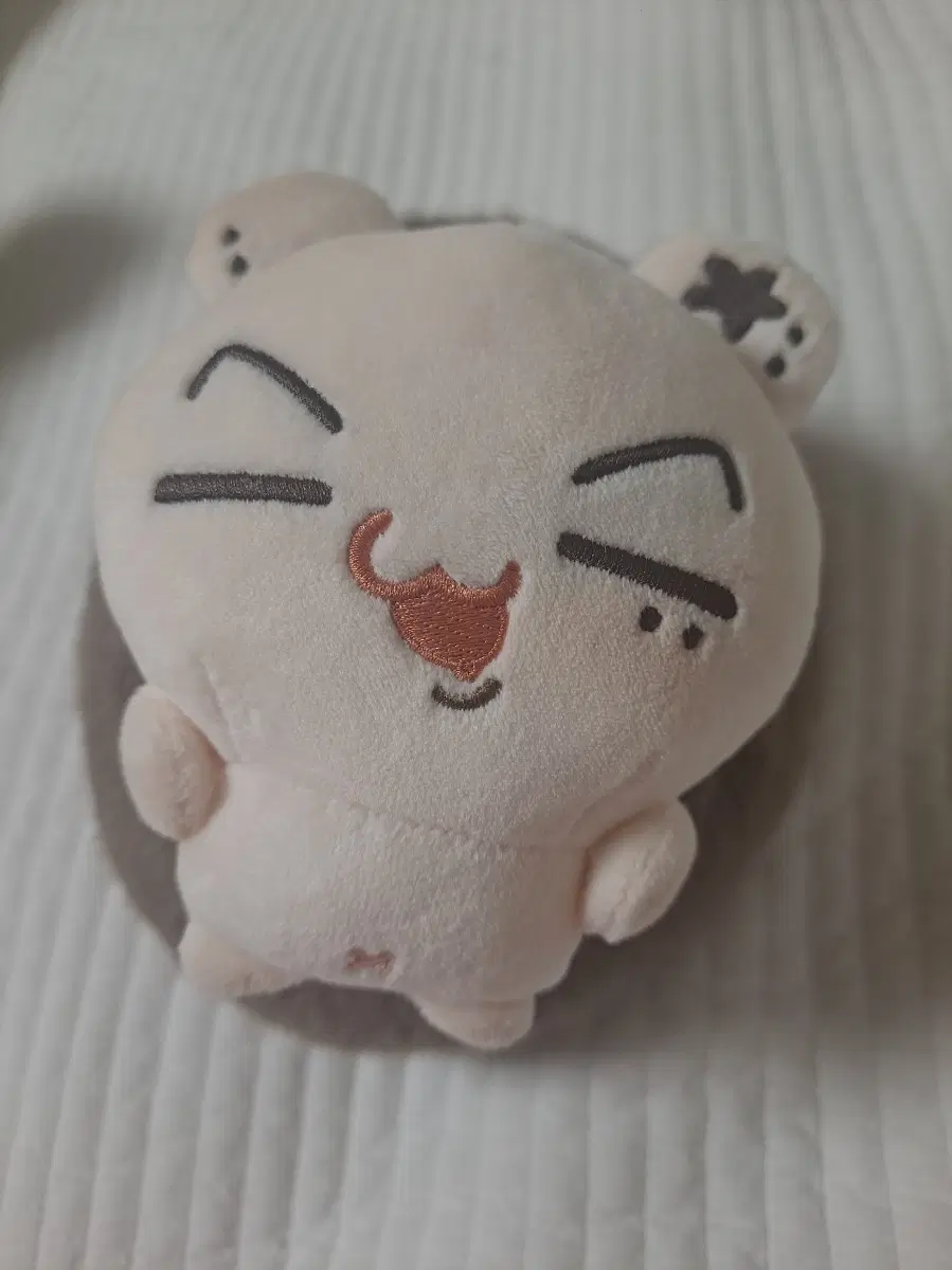 엔하이픈 제이 인형 쫑몽치